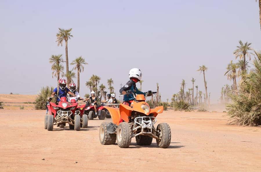 Marrakech: Desert and Palm Grove Sunset Quad Tour with Tea - Tea with bread, honey, oil, and olives