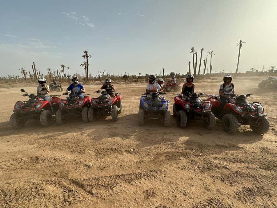 Marrakech: Desert and Palm Grove Sunset Quad Tour with Tea - How much value do you get for $34?