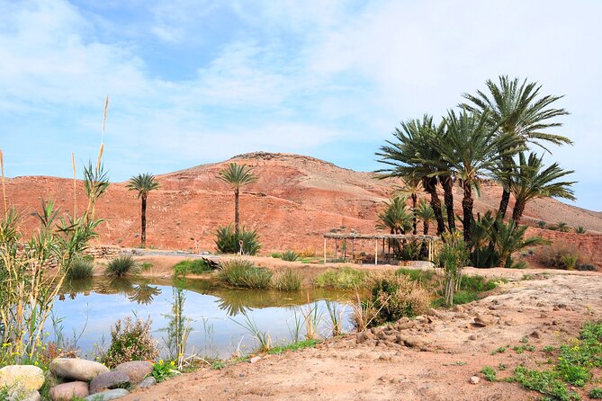 Marrakech Desert Buggy Tour Including Berber Tea Break and transfer - Returning through the changing desert light