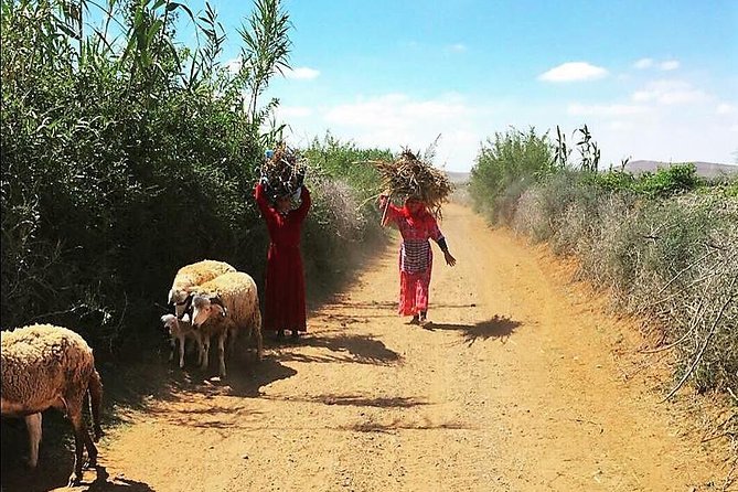 Marrakech Desert Buggy Tour Including Berber Tea Break and transfer - What the $86.32 price really buys