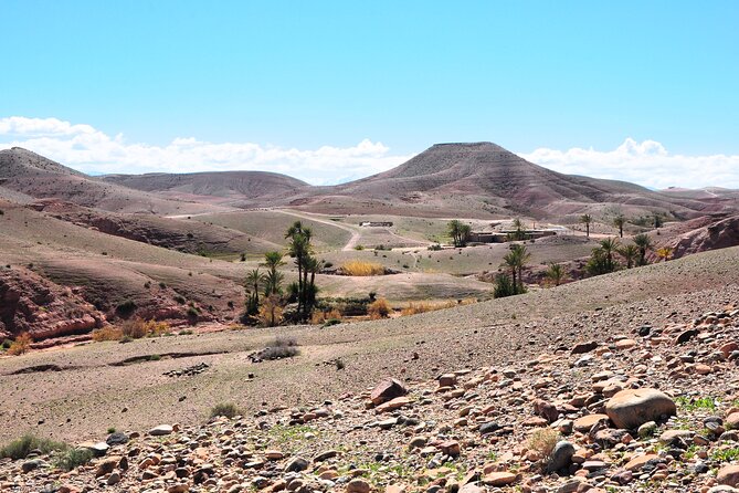 Marrakech Desert Buggy Tour Including Berber Tea Break and transfer - Should you book this Agafay buggy tour?
