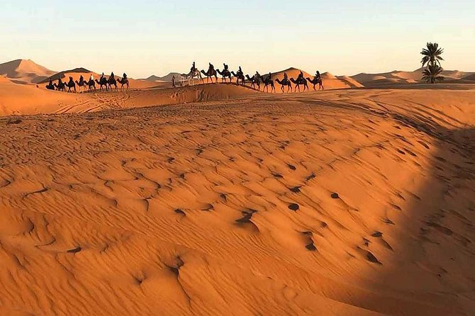 Marrakech Desert: Camel Ride, Quad Biking & Dinner Show Options - Music, cultural entertainment, and fire