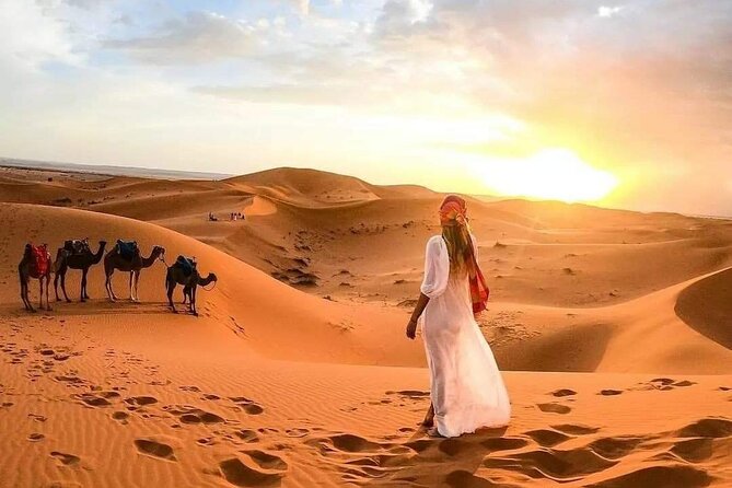 Marrakech Desert: Camel Ride, Quad Biking & Dinner Show Options - Who should book this evening