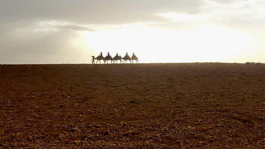 Marrakech: Desert Quad Bike Tour with Tea & Optional Dinner - Small details that make the evening easier
