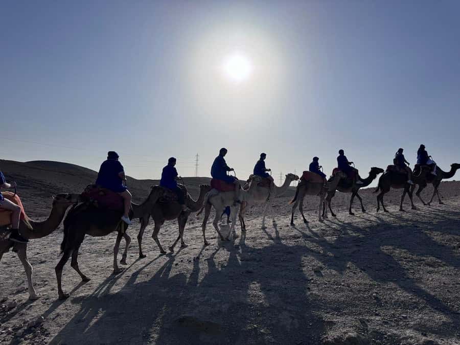 Marrakech: Desert Quad Bike Tour with Tea & Optional Dinner - Tea, photo stops, and time to slow down