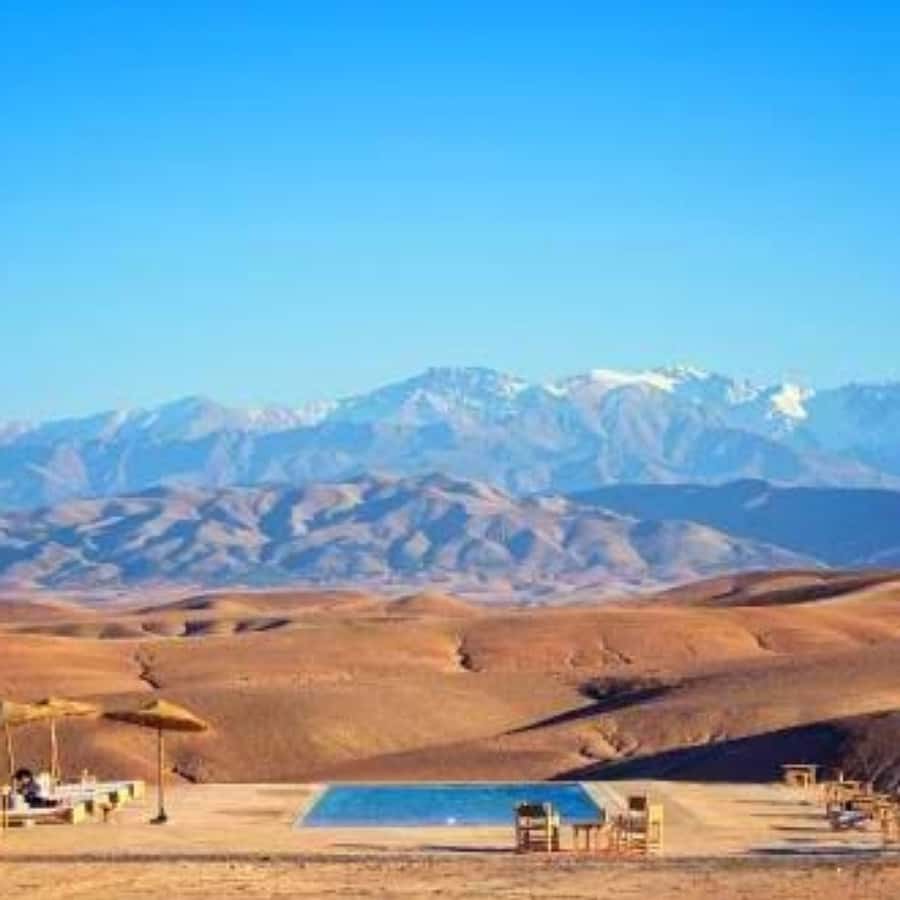 Marrakech: Dinner and Quad bike Desert Agafay Stars & show - Key points to know before you book