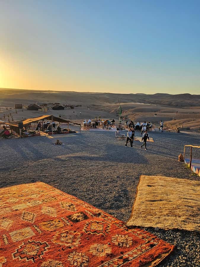 Marrakech: Dinner and Quad bike Desert Agafay Stars & show - Who should book this Agafay evening