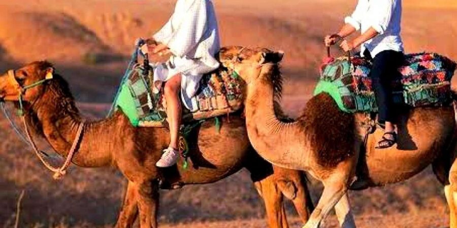 Marrakech: Dinner and Quad bike Desert Agafay Stars & show - A short camel ride with a slower rhythm