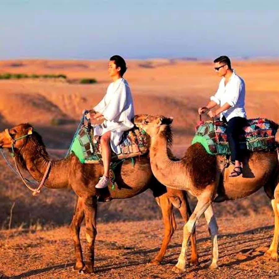 Marrakech: Dinner and Quad bike Desert Agafay Stars & show - How the $14 price holds up