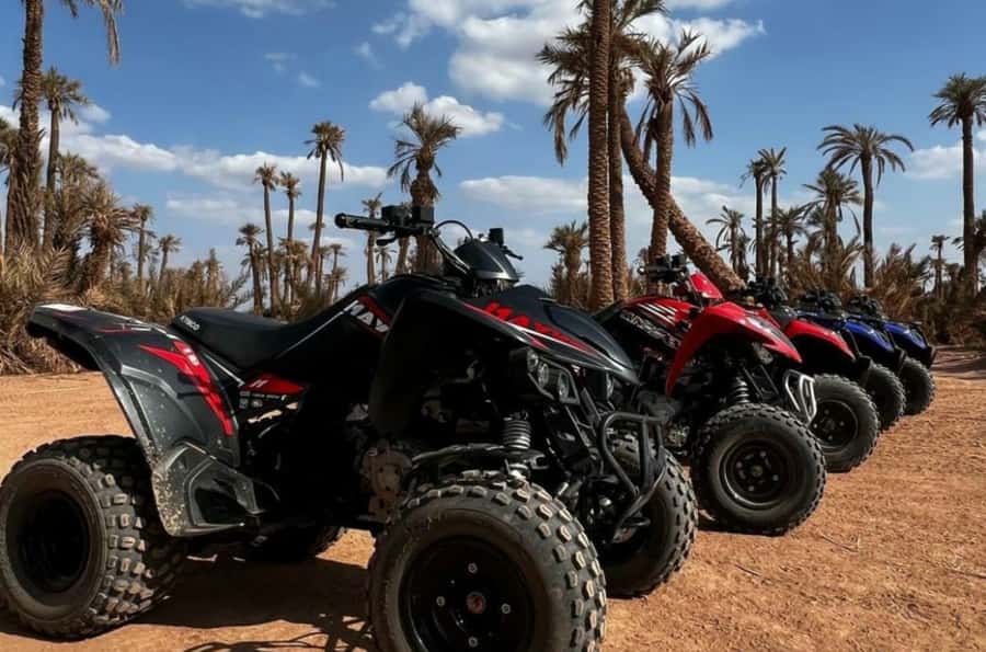 Marrakech: Dunes of the Palmeraie Quad Bike Ride with Tea - Safety, age limits, and who should ride