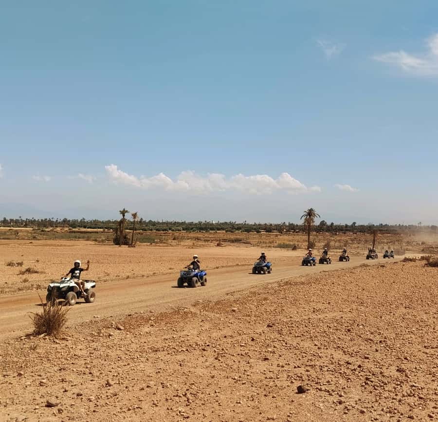 Marrakech:excursion quad in Oasis palm & jbilat desert,tea - Key points to know before you book