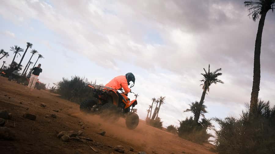 Marrakech:excursion quad in Oasis palm & jbilat desert,tea - Riding through the palm groves and desert tracks