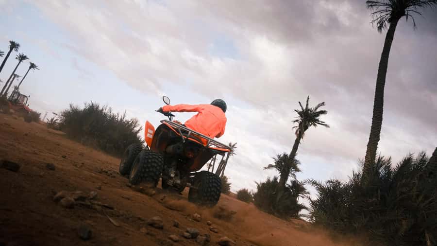 Marrakech:excursion quad in Oasis palm & jbilat desert,tea - The tea stop, Berber culture, and local food