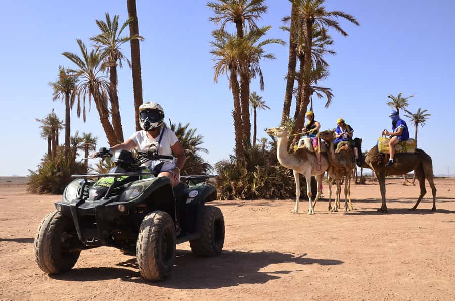 Marrakech:excursion quad in Oasis palm & jbilat desert,tea - The guide can make or break the outing