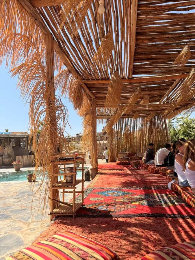 Marrakech: Full-Day Camel Ride, Quad Bike, & Spa Tour - Is $208 a fair price?