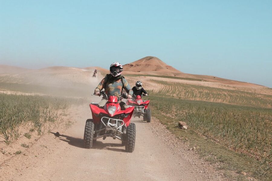 Marrakech: Half-Day Desert Quad Tour with Camel Ride - What the guide adds to the day