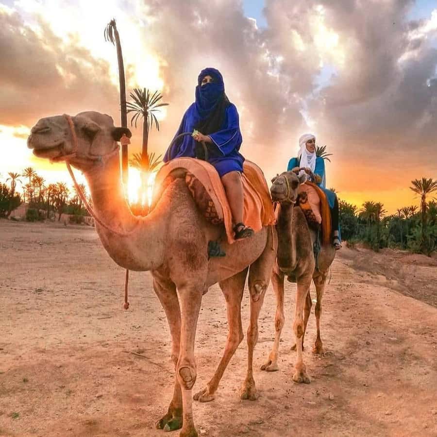 Marrakech: Half-Day Desert Quad Tour with Camel Ride - How the timing works in real life