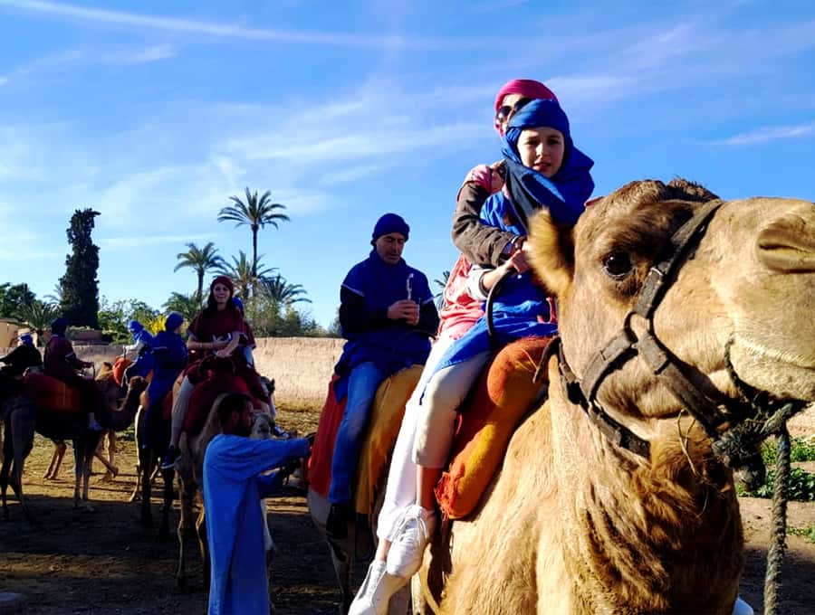 Marrakech: Half-day Dunes Trip With Buggy and Camel Ride - Key points to know before booking