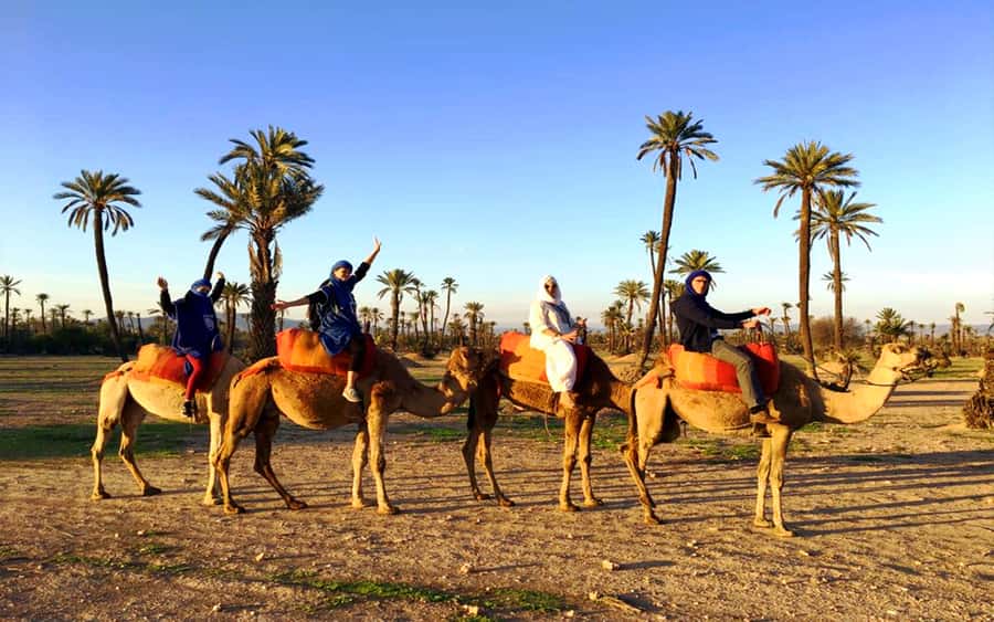 Marrakech: Half-day Dunes Trip With Buggy and Camel Ride - A four-hour escape from Marrakech