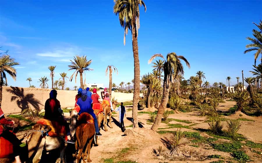 Marrakech: Half-day Dunes Trip With Buggy and Camel Ride - Refreshments and a short cultural pause