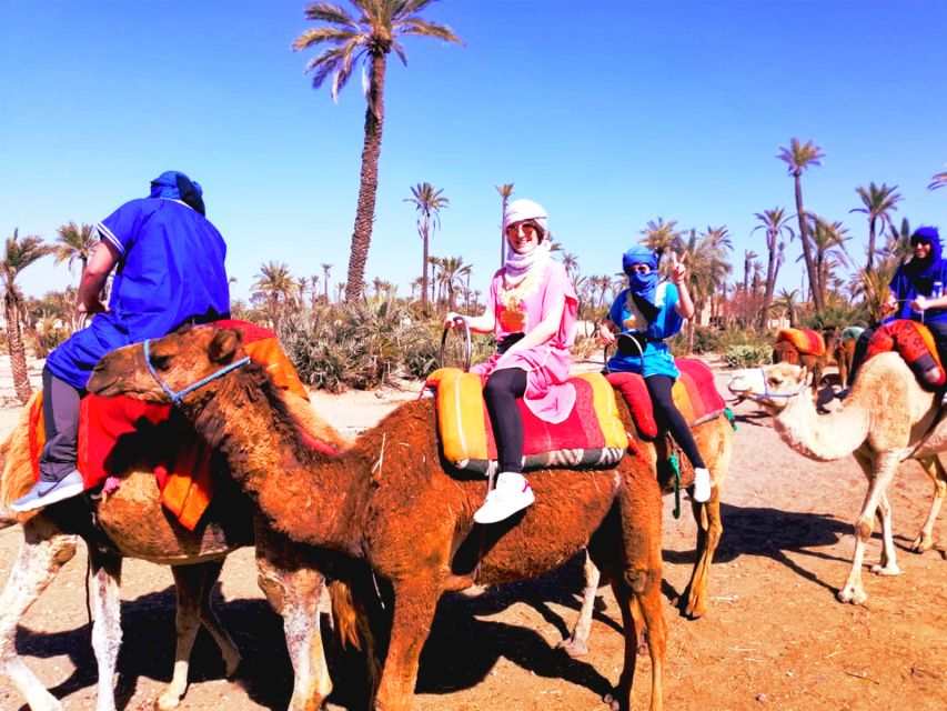 Marrakech: Half-day Dunes Trip With Buggy and Camel Ride - What the $87 price includes
