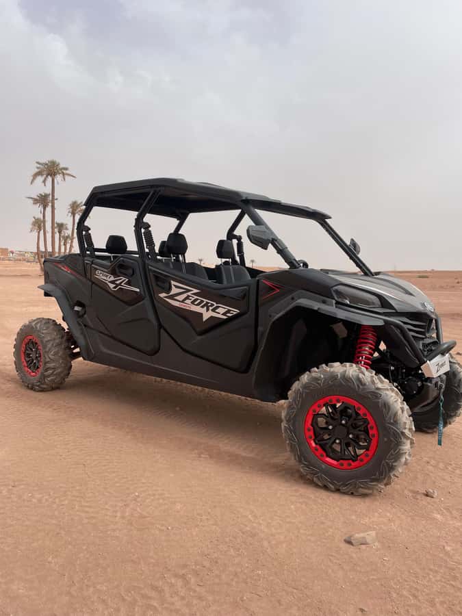 Marrakech: Half-day private tour in a 1000cc buggy in the Agafay Desert - Who should book this Agafay outing?