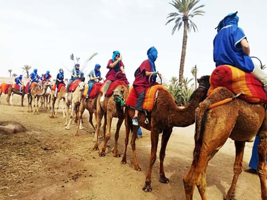 Marrakech: Half-Day Tour with Buggy Ride, Camel Ride and Spa - One morning, three very different Marrakech experiences