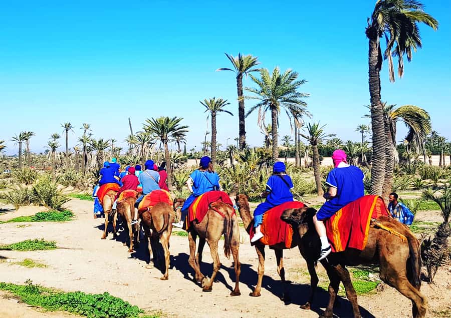 Marrakech: Half-Day Tour with Buggy Ride, Camel Ride and Spa - Practical tips for a smoother day