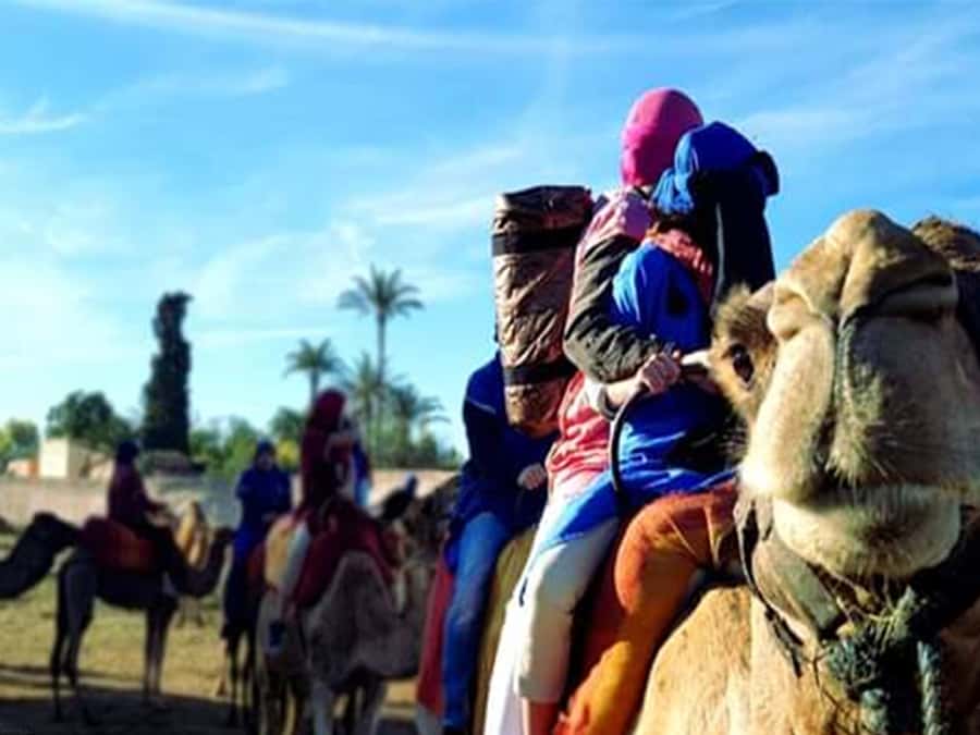 Marrakech: Half-Day Tour with Buggy Ride, Camel Ride and Spa - A Berber village and a long buggy session