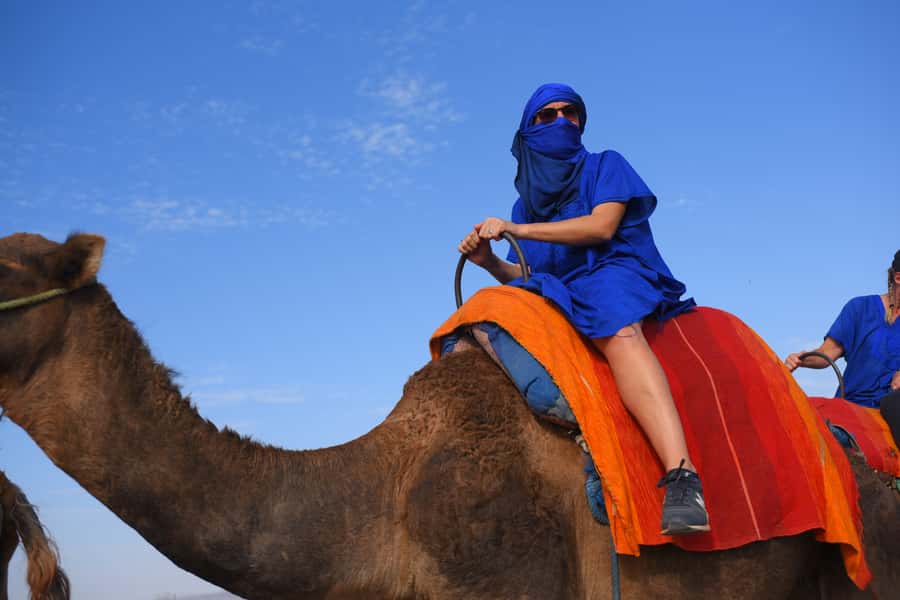 Marrakech: pack quad and camel ride in the palm grove - Key points to know before booking