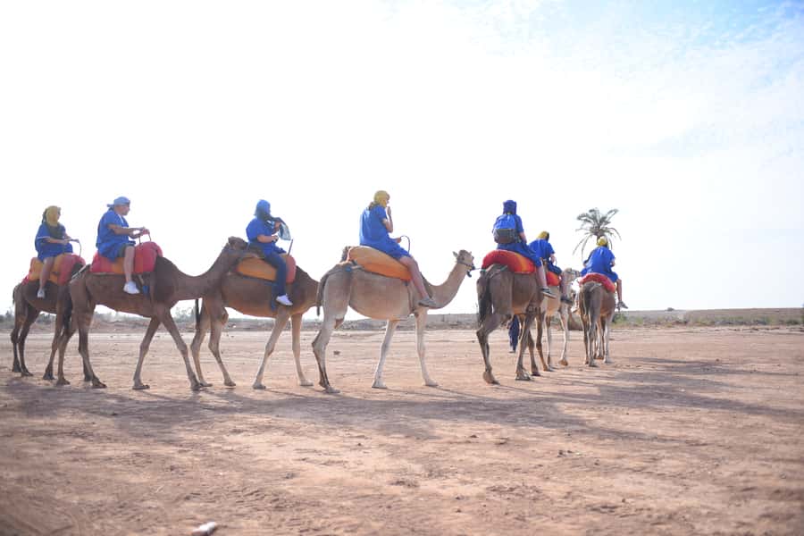 Marrakech: pack quad and camel ride in the palm grove - Two hours across the rocky palm grove