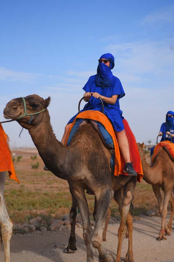 Marrakech: pack quad and camel ride in the palm grove - Mint tea, bread, honey, and a welcome pause