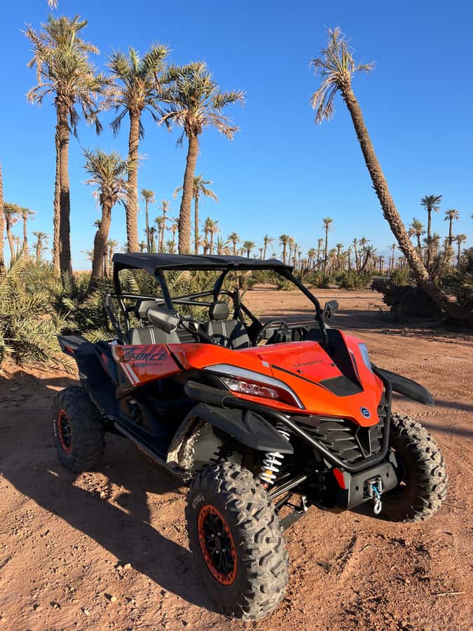 Marrakech : Palm Grove and jbilat Desert Buggy 1000cc Tour - From Jemaa el Fna to the Palmeraie