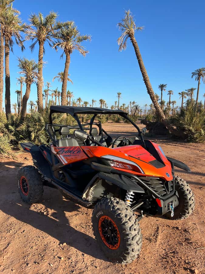 Marrakech : Palm Grove and jbilat Desert Buggy 1000cc Tour - Mint tea at a traditional villa