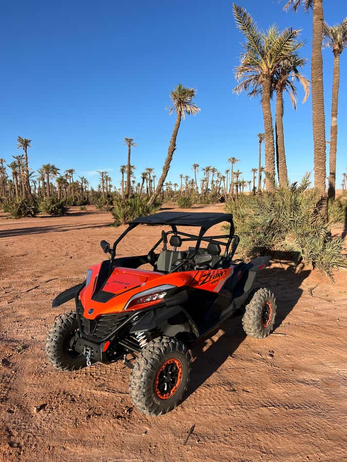 Marrakech : Palm Grove and jbilat Desert Buggy 1000cc Tour - What the $79 price really covers