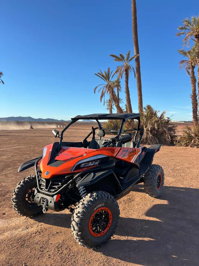 Marrakech : Palm Grove and jbilat Desert Buggy 1000cc Tour - Group size, language, and the feel of the outing