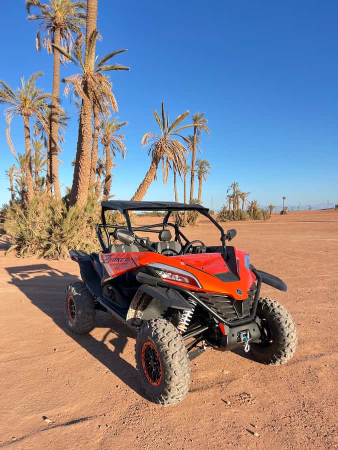 Marrakech : Palm Grove and jbilat Desert Buggy 1000cc Tour - Who should book, and who should skip it