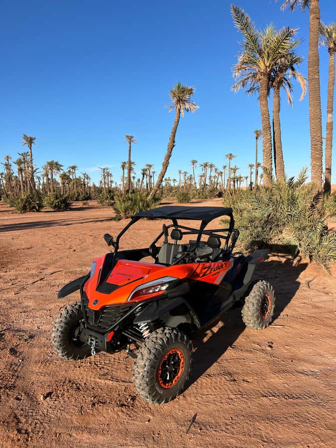 Marrakech : Palm Grove and jbilat Desert Buggy 1000cc Tour - Booking flexibility and timing