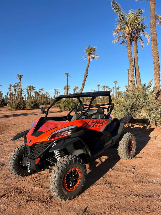 Marrakech : Palm Grove and jbilat Desert Buggy 1000cc Tour - A 1000cc ride across rocky desert tracks