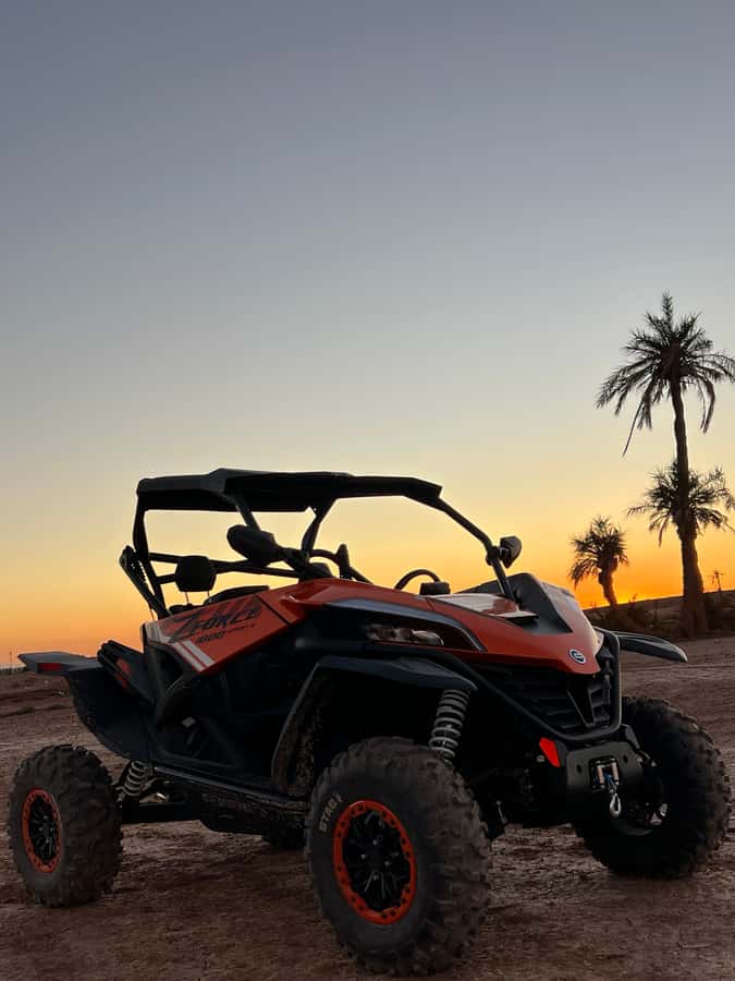 Marrakech: Palm Grove Sunset Buggy Tour - Two hours across the Palmeraie at sunset