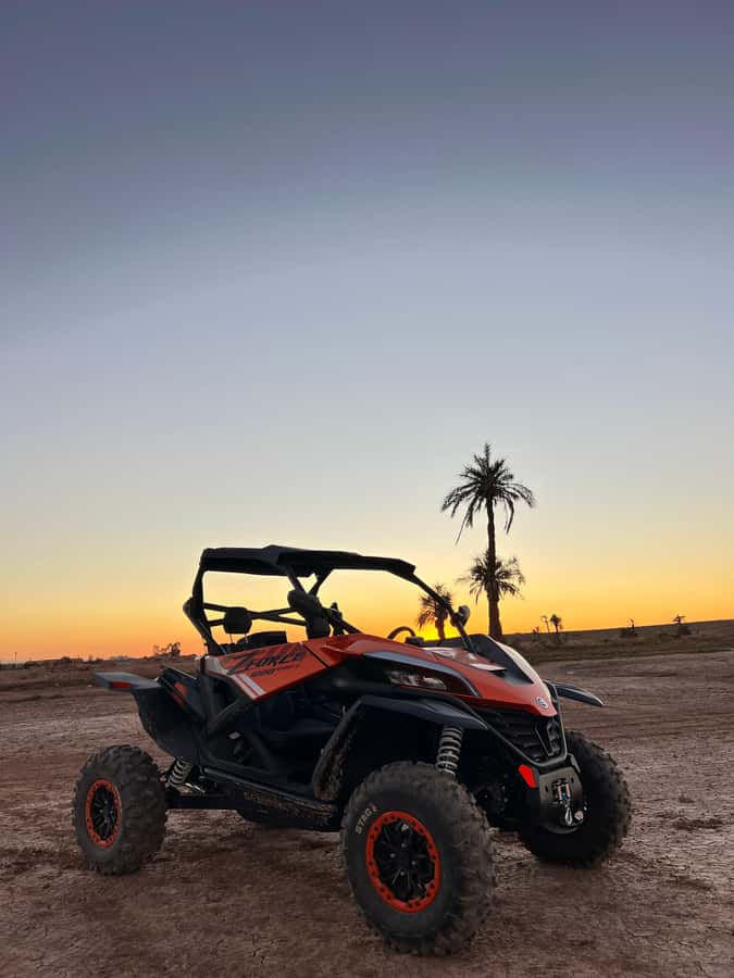Marrakech: Palm Grove Sunset Buggy Tour - Booking flexibility and practical details