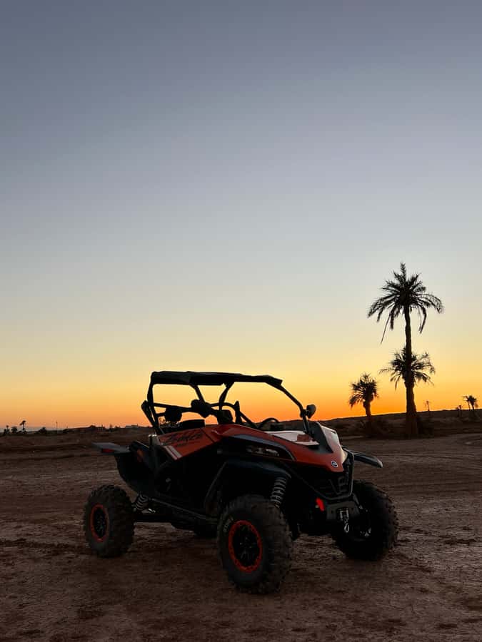 Marrakech: Palm Grove Sunset Buggy Tour - What happens before you start the engine