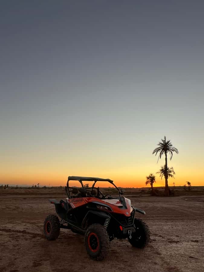 Marrakech: Palm Grove Sunset Buggy Tour - The tea stop and the photo break