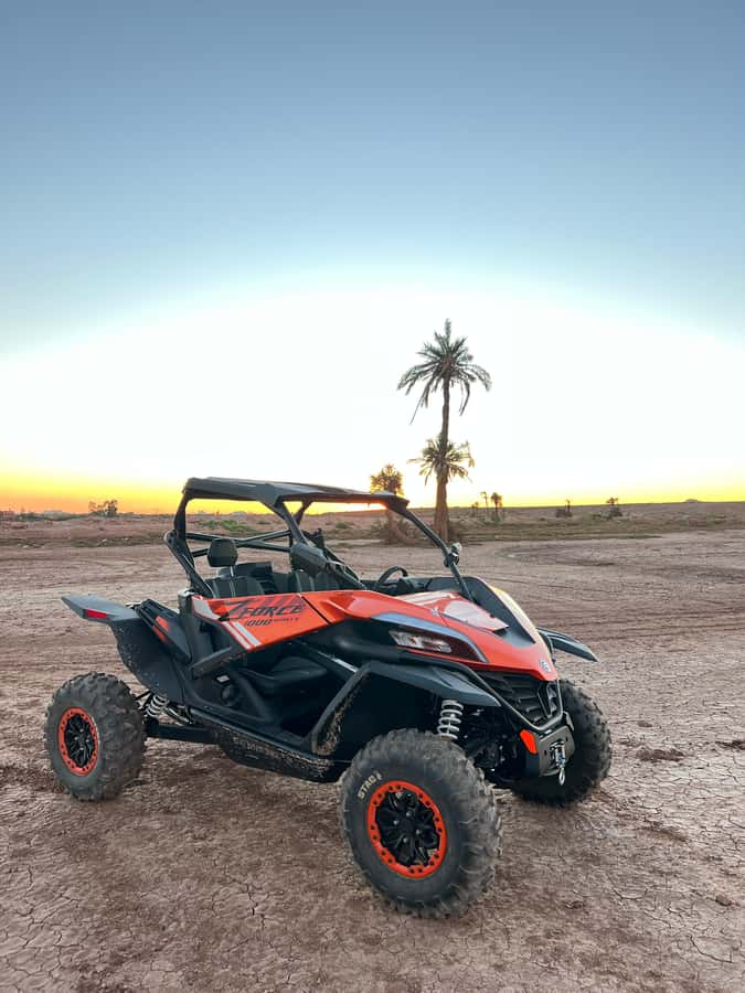 Marrakech: Palm Grove Sunset Buggy Tour - Sunset timing and the main scenic drawback