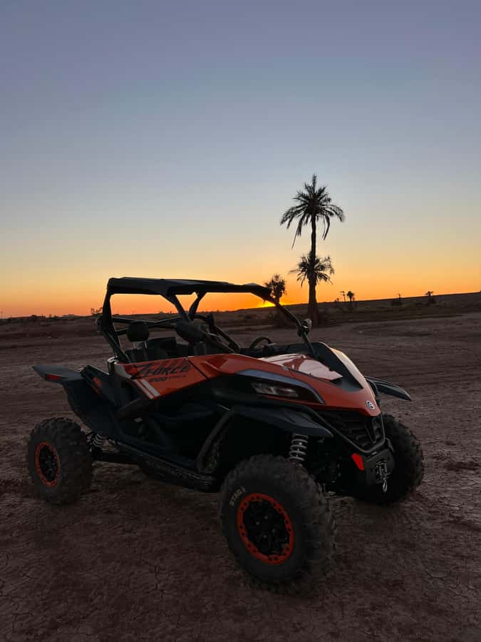 Marrakech: Palm Grove Sunset Buggy Tour - The route is not polished from the first metre