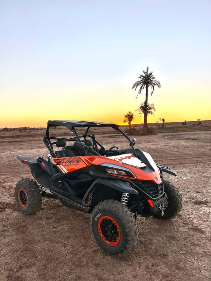 Marrakech: Palm Grove Sunset Buggy Tour - Guides, drivers, and group size