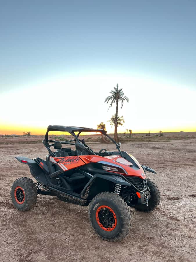 Marrakech: Palm Grove Sunset Buggy Tour - Is $79 a fair price?