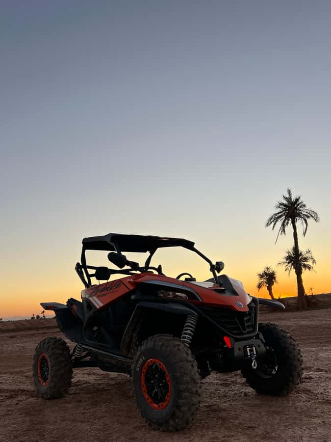 Marrakech: Palm Grove Sunset Buggy Tour - Who should book this outing?