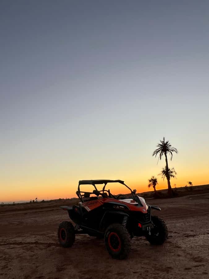 Marrakech: Palm Grove Sunset Buggy Tour - Sharing one 1000cc buggy