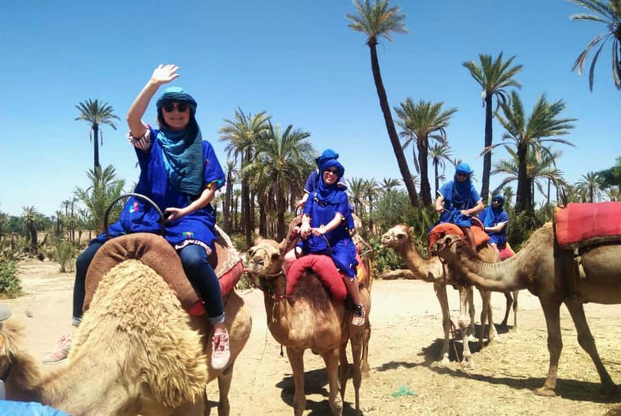 Marrakech Palmeraie: Camel Ride & Quad Bike Experience - Key points to know before you book